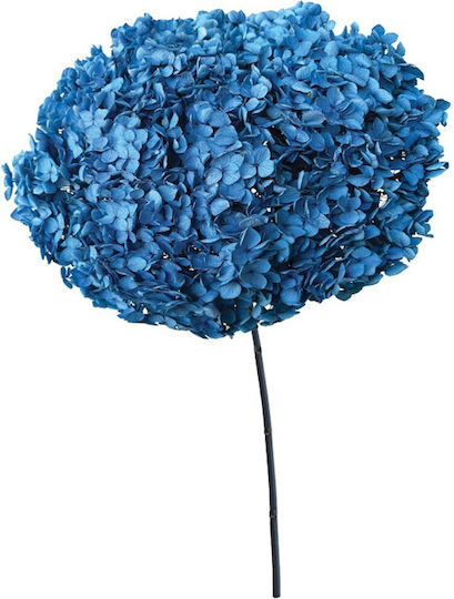 Künstliches Dekoratives Hortensie Zweigstelle Blau 55cm Marhome