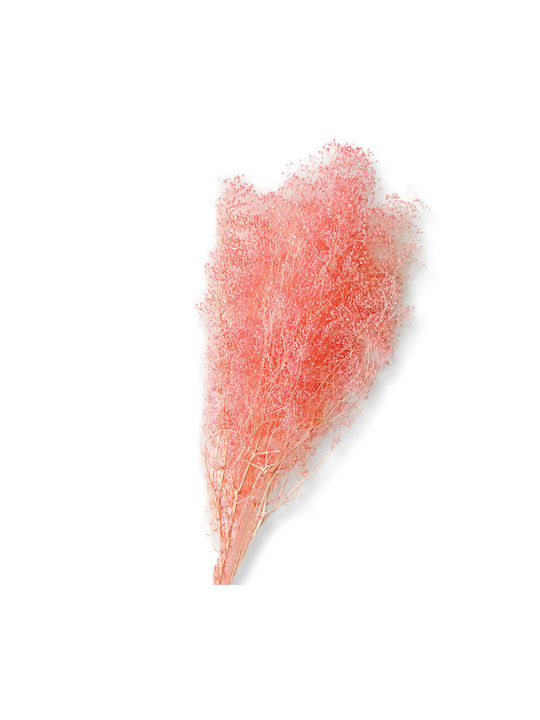 Getrocknete Zweigstelle Rosa Gypsophila Million...