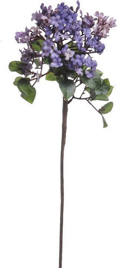 Kladí Tashníto Keráki Chóya Móv 40cm