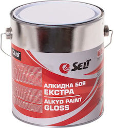 Alkyd Paint Extra Selt