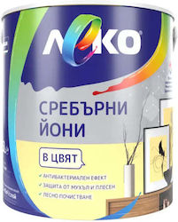 Silber Yoni Sunny Morning 2,5 ltr Metall-Holz F...