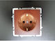 Nilson Single Brown Power Socket