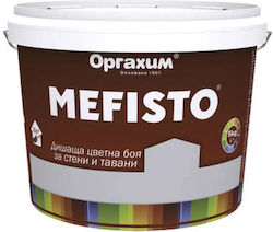 Interior Paint Color Moonstone 5 Kg Mefisto