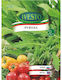 Ivesto Arugula Seeds
