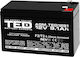 Battery 12v 9ah Agm Ted Electric