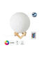 Moon Decorative LED RGB Lamp