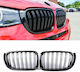 Diederichs 242550 Mask Bmw X3 F25 Lci 14-17 X4 F26 14-17 M4 Look Double Grille Black Glossy 7 Slats 2 Pieces