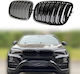 Diederichs 242555 Mask Hearts BMW X5 E70 07-13 X6 E71 08-14 M4 Look Double Grille Black Glossy 6 Grilles 2 Pieces