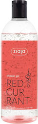 Shower Gel Red Currant Extract 500ml