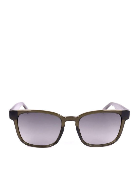 Ted Baker Tb1635 Unisex Sunglasses with Gray Fr...