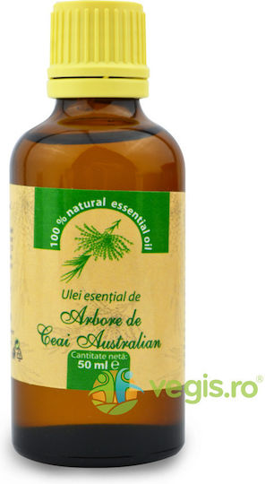 Teebaum Ätherisches Öl 50ml