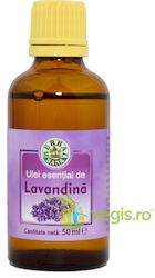 Lavandin Essential Oil Lavender 50ml Lavandin Essential Oil Lavender 50ml