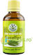 Eucalyptus Essential Oil 50ml