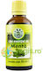 Pfefferminz Ätherisches Öl 50ml