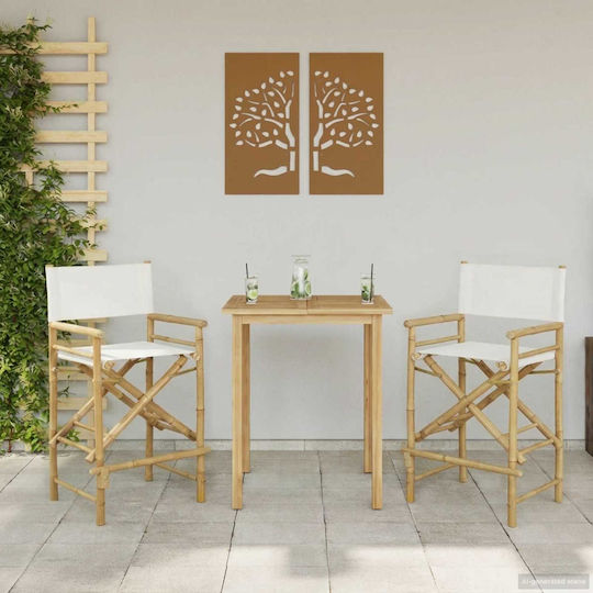 Wooden Director Chair Brown 2 Pieces
