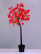 Decorative Maple Tree Pot 72 Led Warm White 5m Cable & 4.5v Adapter Ip44 H1500mm