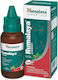 Himalaya Wellness Rumalaya Thermal Spray for Mu...
