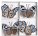 Petalouda Clips 8 Stück 7cm Blau-Braun