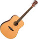 Tanglewood Chitară Acustică X Dreadnought