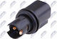Bulb Socket Parking Light Position Ford Galaxy III 2015-0 2.0L MPV Ford Galaxy III 2015-0 1.5L MPV Ford Galaxy III 2015-0 2.5L MPV
