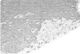 Woodware Camouflage Net White with PU Coating 160gr/m²
