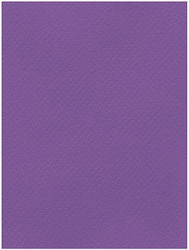 Favini Cardboard 50x70cm 220gsm No19 Violet