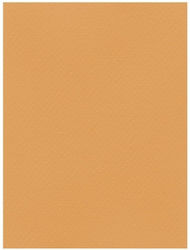 Favini Cardboard 50x70cm 220gr No12 Tabacco