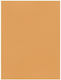 Favini Χαρτονι 50x70cm 220gr Νο12 Tabacco