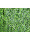 Rossima Panou Sintetic Foliage 3x1.5m