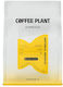 Coffee Plant Espresso Arabica Guatemala Kaffee in Körner 250g