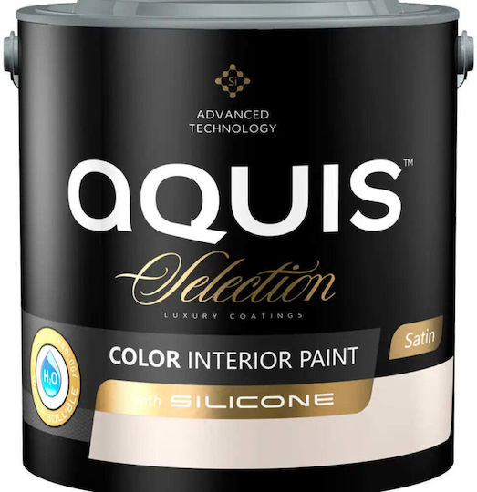 Interior Paint Silicone Apricot Color 2.5 L Aquis