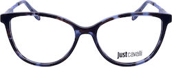 Just Cavalli Jcv Ramă Ochelari De Vedere Vjc008 09sw 54 16 135 Just Cavalli Jcv Ramă Ochelari De Vedere Vjc008 09sw 54 16 135