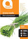 Onion Grass Seeds Botanik
