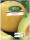 Ivesto Melon Seeds