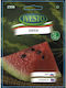 Ivesto Melon Seeds