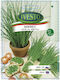 Ivesto Zwiebelblatt Samen