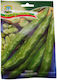 Fava Bean Seeds