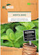 Organic Mint Seeds Regreen