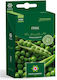 Pea Seeds Ivesto