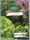 Ivesto Salad Seed Mix