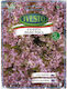 Ivesto Lollo Rosa Lettuce Seeds