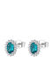 Brosway Earrings Made of Steel with Turquoise Stones