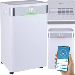 Ruhhy Brisoo 2000 με Wi-Fi 20lt/ημέρα
