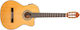 Peavey Electro-Classical Guitar 4/4
