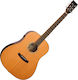 Tanglewood Chitară Acustică