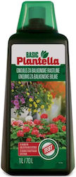 Top Plantella Balkonpflanzen 1l Top Plantella Balkonpflanzen 1l