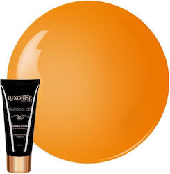 Polygel Revomax Gel Luxorise Pumpkin Spice 15ml