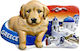 Tourist Decorative Magnet Souvenir Set 12 Pieces Greece 678616 678616