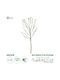 Artificial Garden Big Sprout Blossom Branch Decorative Artificial Green Cabbage Branch Height 150cm