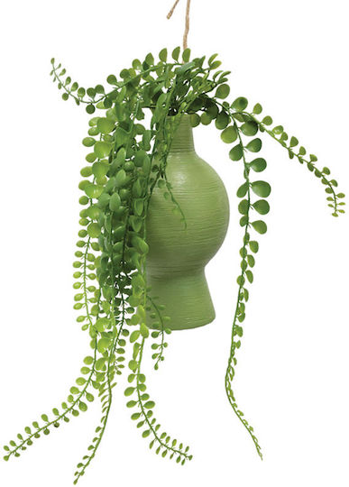 Outdoor Succulent Plant 38cm Marhome